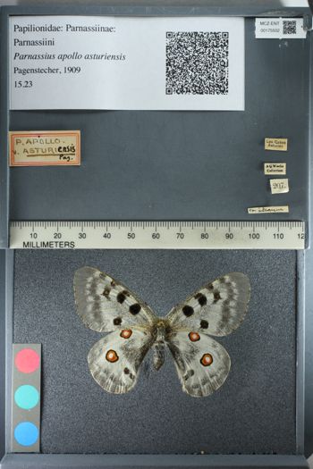 Media type: image;   Entomology 175502